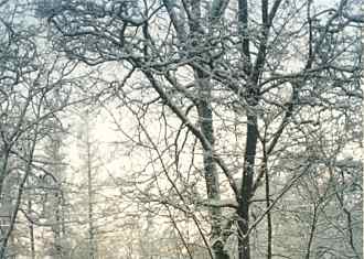 Vinter i Lapptrsk (Foto NM 1995)